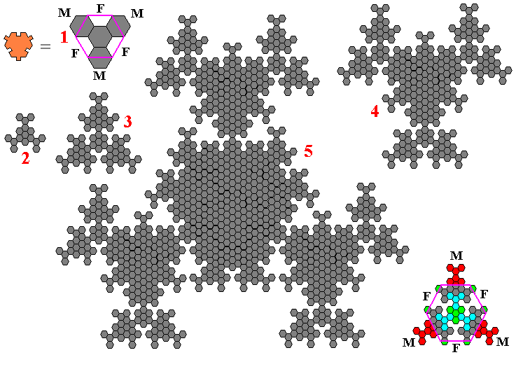 Sexehex Reproduction